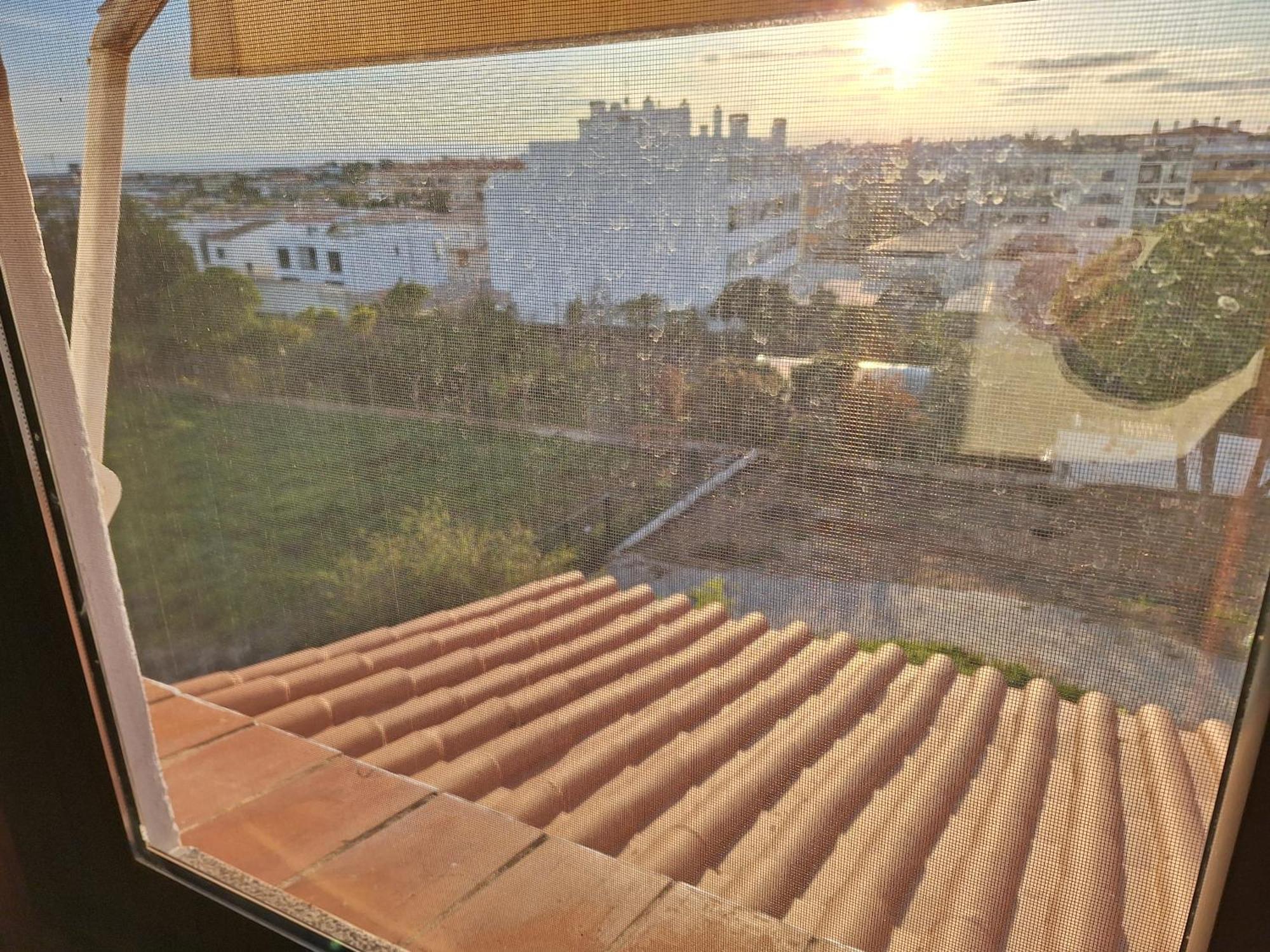 Monteverde Dystrykt Dystrykt Faro Zewnętrze zdjęcie
